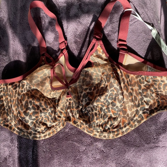 Elomi Other - Brand New Elomi Leopard Bra